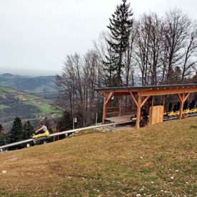Gasthaus und Restaurant Silvia Zauner Grünbergalm e.U. in Gmunden