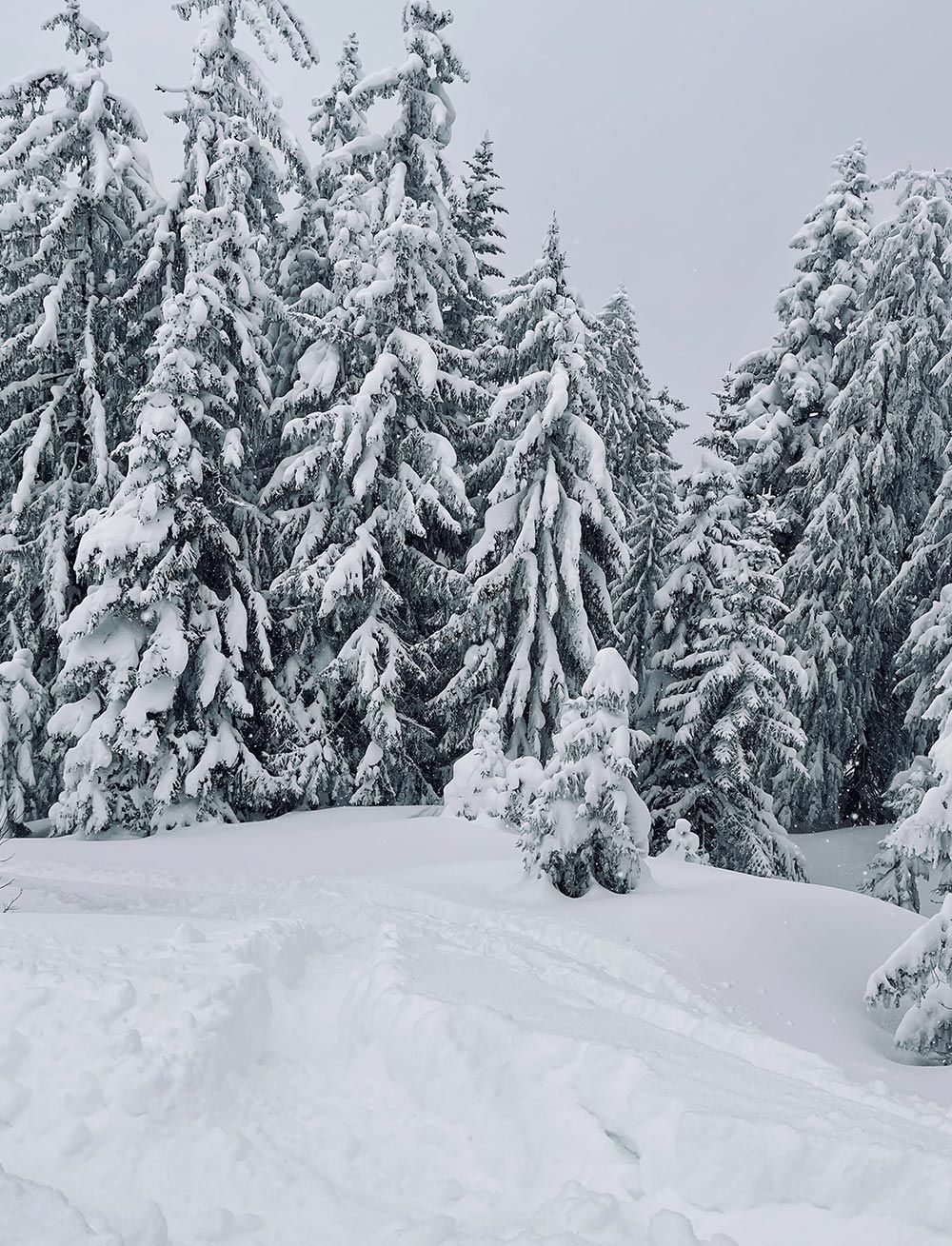 Skitouren Gmunden