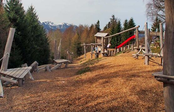 Familienurlaub auf der Silvia Zauner Grünbergalm e.U. in Gmunden